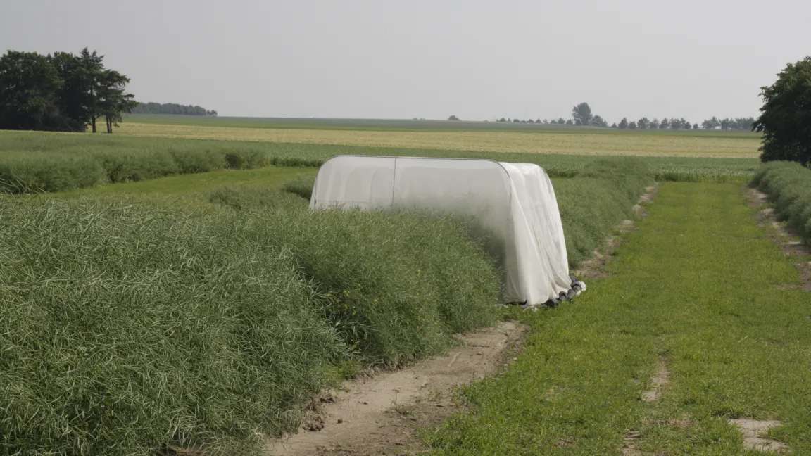 Wenn ein Versuch eine allgemeine Gültigkeit haben soll, muss er hohen wissenschatlichen Ansprüchen genügen. Foto: Angelika Sontheimer