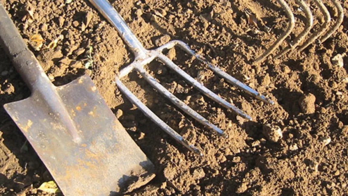 Spaten, Grabegabel und Vierzahn für die jeweils richtige Bodenbearbeitung
Quelle: Matthias Wiedenau