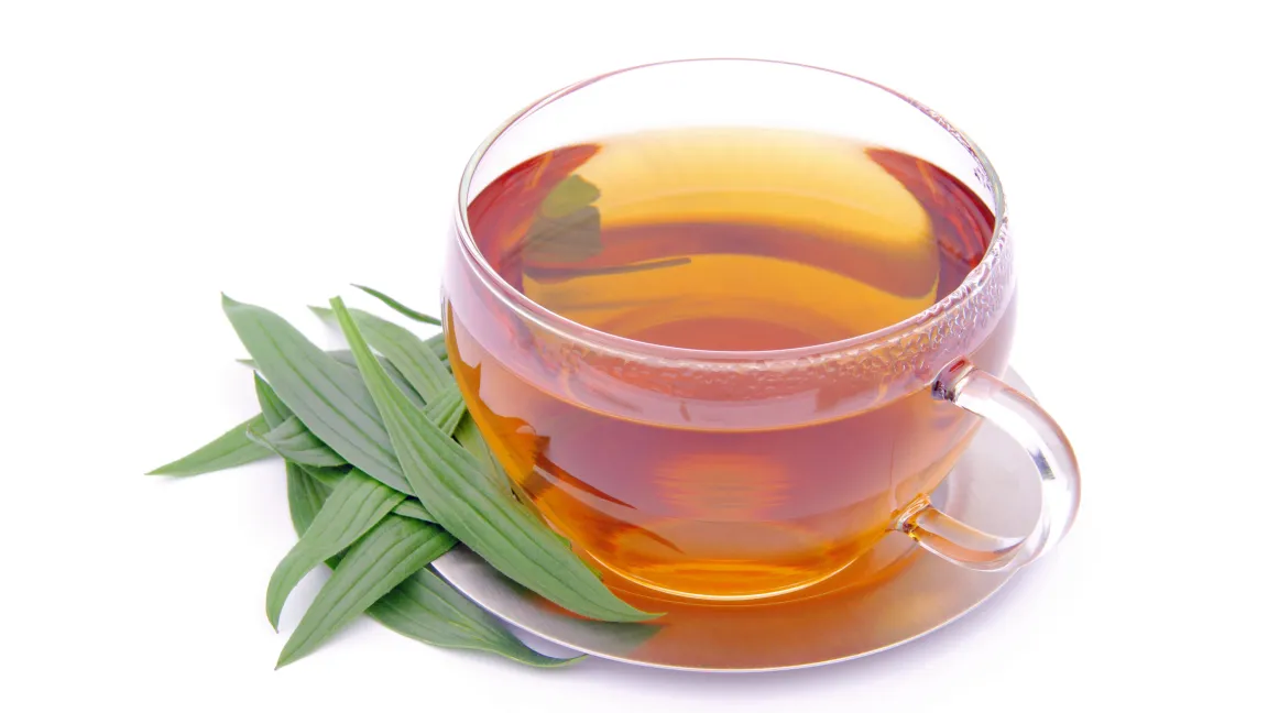 Spitzwegerich-Tee hilft gegen Husten. Foto: Fotolia