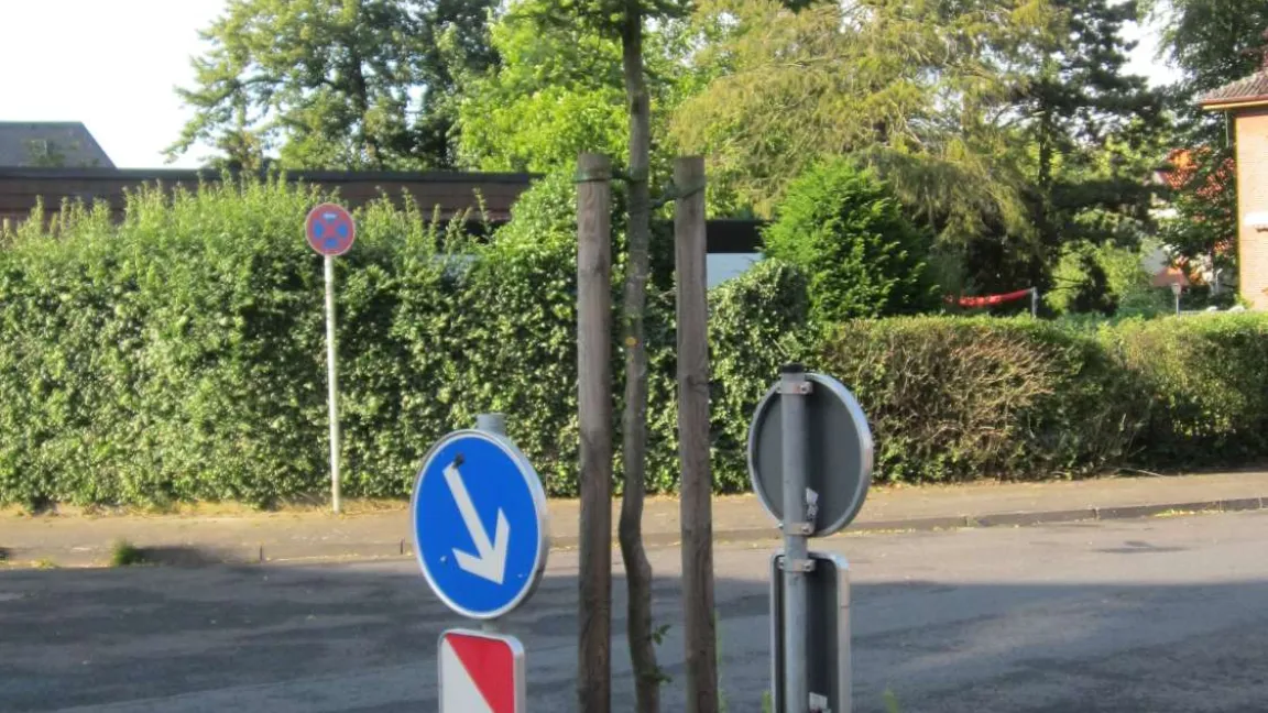 Der Pflanzraum für diesen Stadtbaum ist zu klein. Foto: Compo Expert