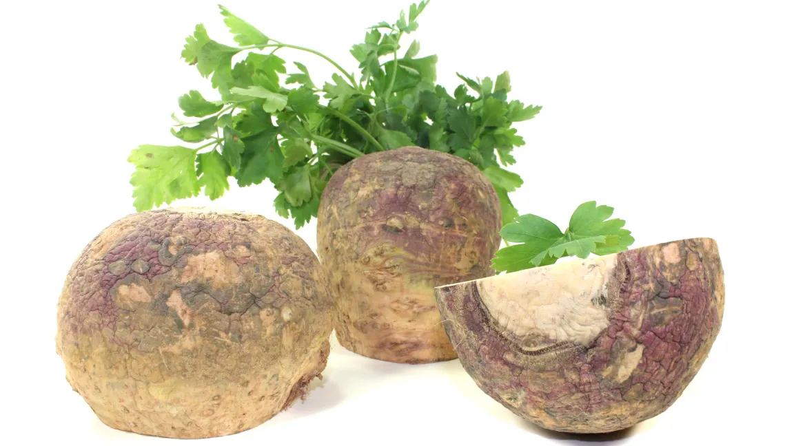 Steckrüben enthalten u.a. Vitamin C, B1 und B2 sowie Beta-Carotin, aber nur etwa 30 Kalorien pro 100 Gramm. Foto: Fotolia