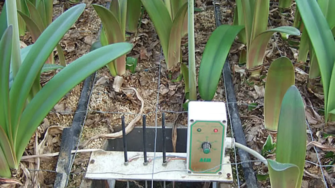 Temperaturregelung in der Wanne.
Quelle: Pankraz Gasseling