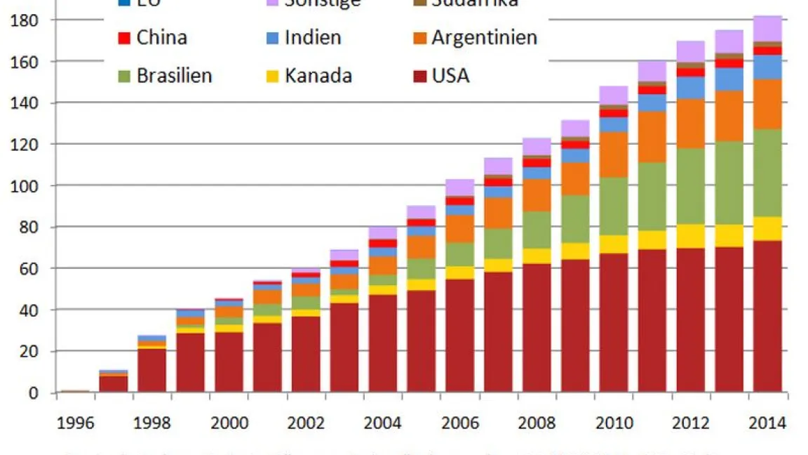 Quelle: ISAAA/transgen.de