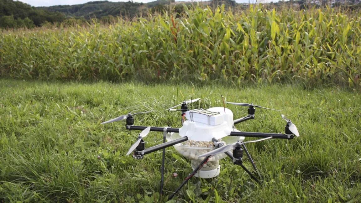 Dieser Multikopter wird zur Maiszünslerbekämpfung eingesetzt. Im Behälter befinden sich mit Schlupfwespen gefüllte Kugeln.. Foto: Hubert Spich