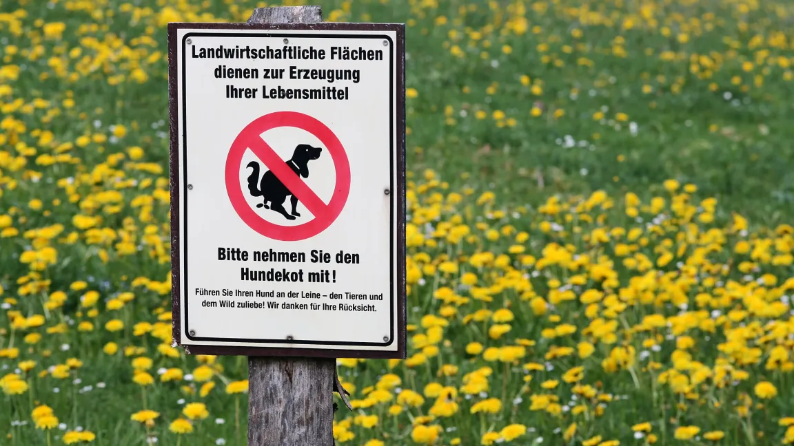 Feld und Wiesen sollten nicht durch Hundekot verschmutzt werden. Foto: Fotolia