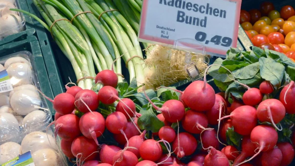 Beim Kauf von Radieschen sollte man darauf achten, dass das Laub schön frisch ist. Foto: Matthias Wiedenau