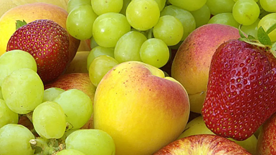 Verlockung für Mensch und Fliege. Is(s)t der Mensch schneller, hat die Fruchtfliege das Nachsehen. Nur gründlich gewaschenes Obst in die Schale legen und bald verzehren!
Quelle: adpic Bildagentur