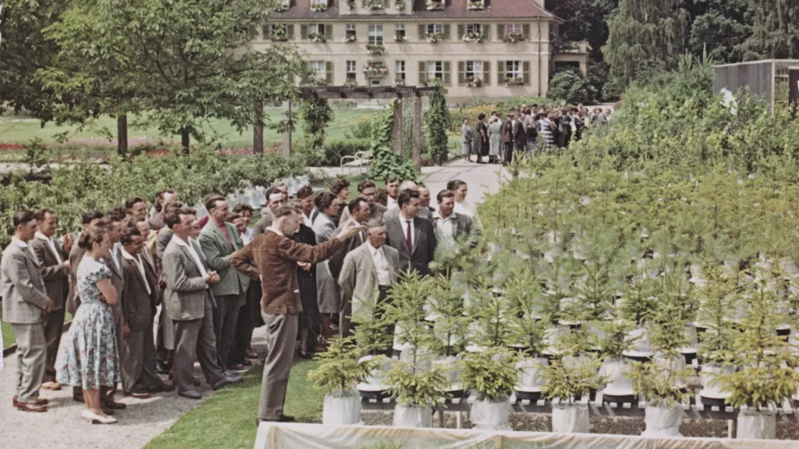 Das weitläufige Versuchsgelände früher bot den Besuchergruppen eine Vielzahl an Anschauungsobjekten aus Düngung, Pflanzenschutz und Pflanzenbau. Foto: BASF SE