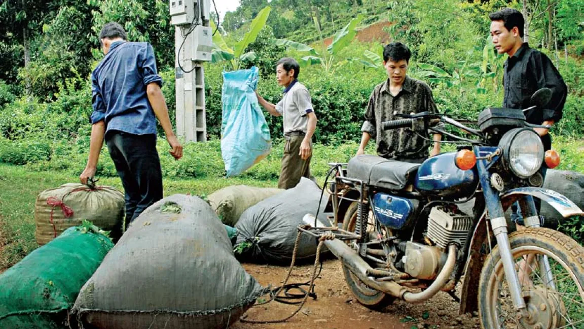 Nguyen Xuan Vinh belädt mit seinen Kollegen das Motorrad zum Transport. Foto: CropLife International