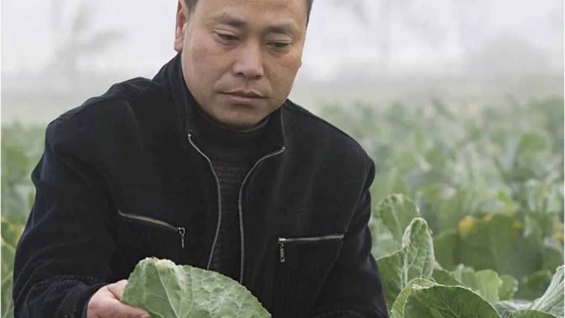 Wang Hengming, Gemüsebauer aus Xinglong im Südwesten Chinas. Foto: CropLife International