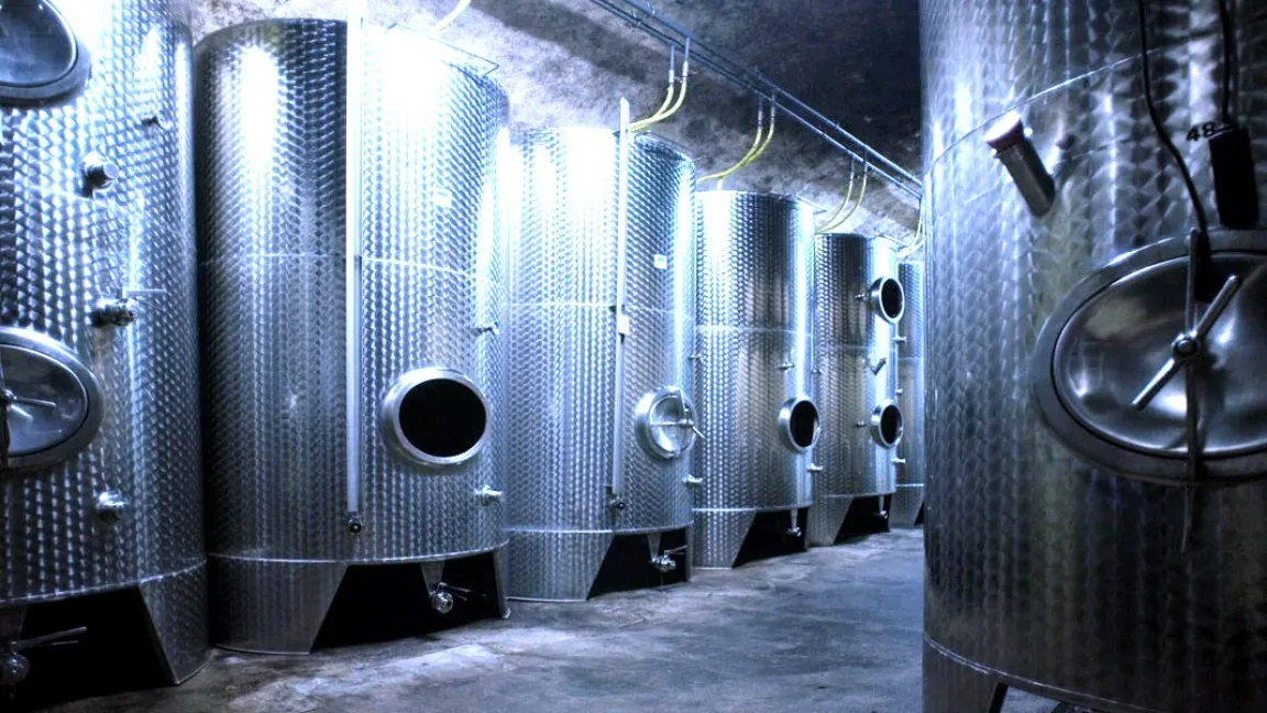 Im Weinkeller können nur aus gesundem Erntegut Spitzenweine gewonnen werden. Foto: Axel Müller