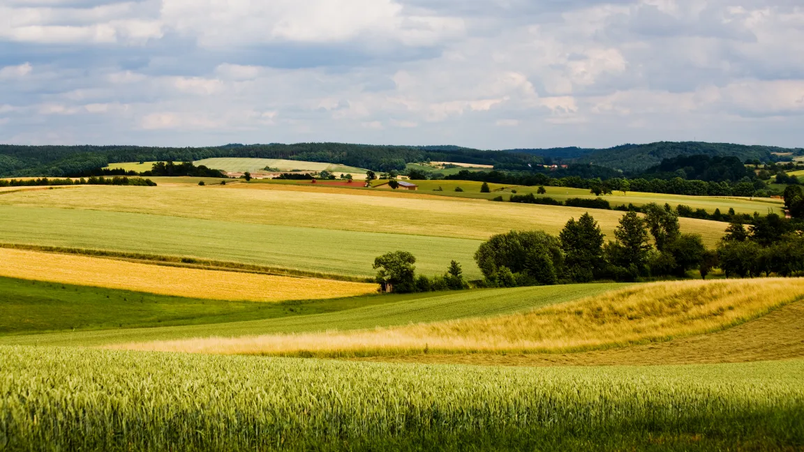 Kulturlandschaft Foto: adpic