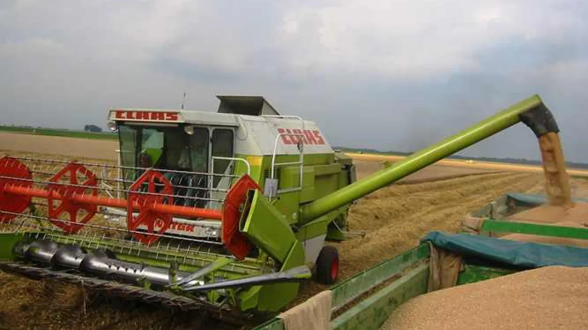 Die Getreideernte wird 2010 deutlich geringer ausfallen als in Normaljahren. Spekulationen könnten die Preise zusätzlich nach oben treiben. 
Quelle: Matthias Wiedenau