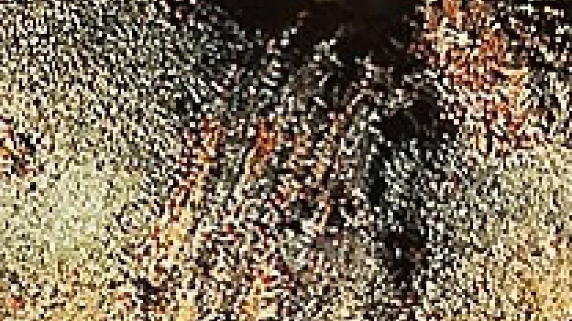 Wintereier von Spinnmilben auf Apfelknospe.
Quelle: Bayer CropScience