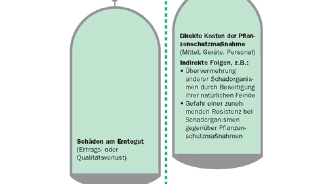 Wirtschaftliche Schadensschwelle
	Quelle: IVA.