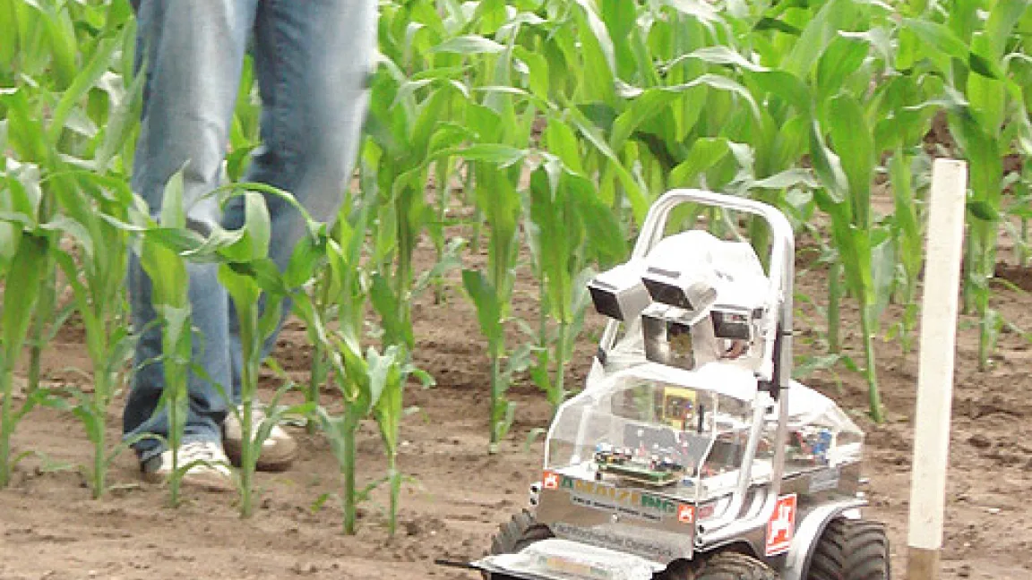 Zu den Wettbewerbsaufgaben gehört ein Wendemanöver am Ende der Maisreihe.
	Quelle: FH Osnabrück