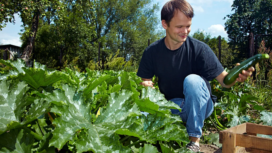 Wenn man einige Komponenten bei der Planung beachtet, kann man leckeres Gemüse ernten. Foto: adpic