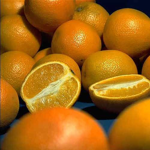 Orangen: Woher sie kommen – wie sie wachsen | Industrieverband Agrar Orangen: Woher sie kommen – wie sie wachsen | Industrieverband Agrar