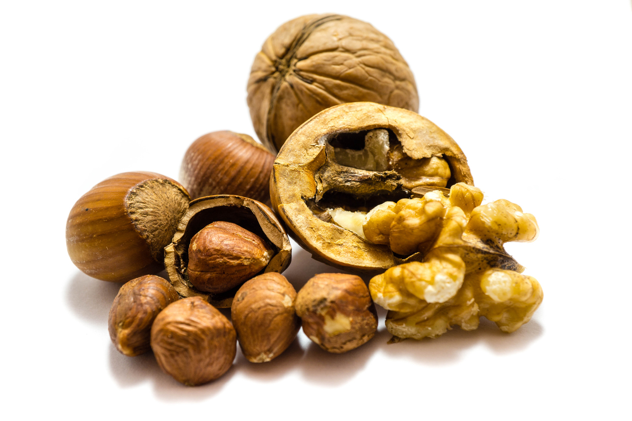 Nuss ist nicht gleich Nuss Eine kleine Nusskunde Industrieverband Agrar