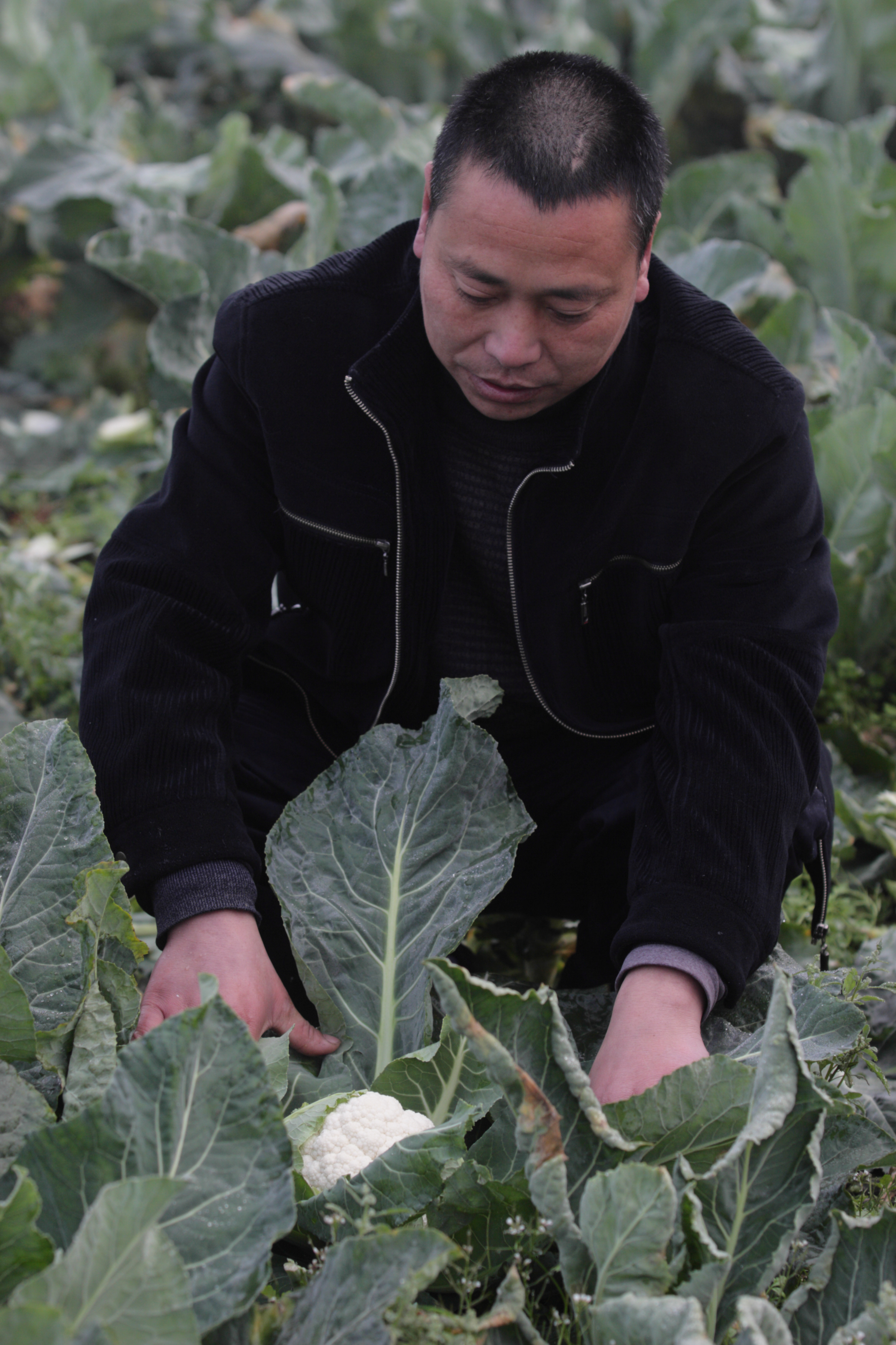 Landwirtschaft im "Land der Fülle" | Industrieverband Agrar