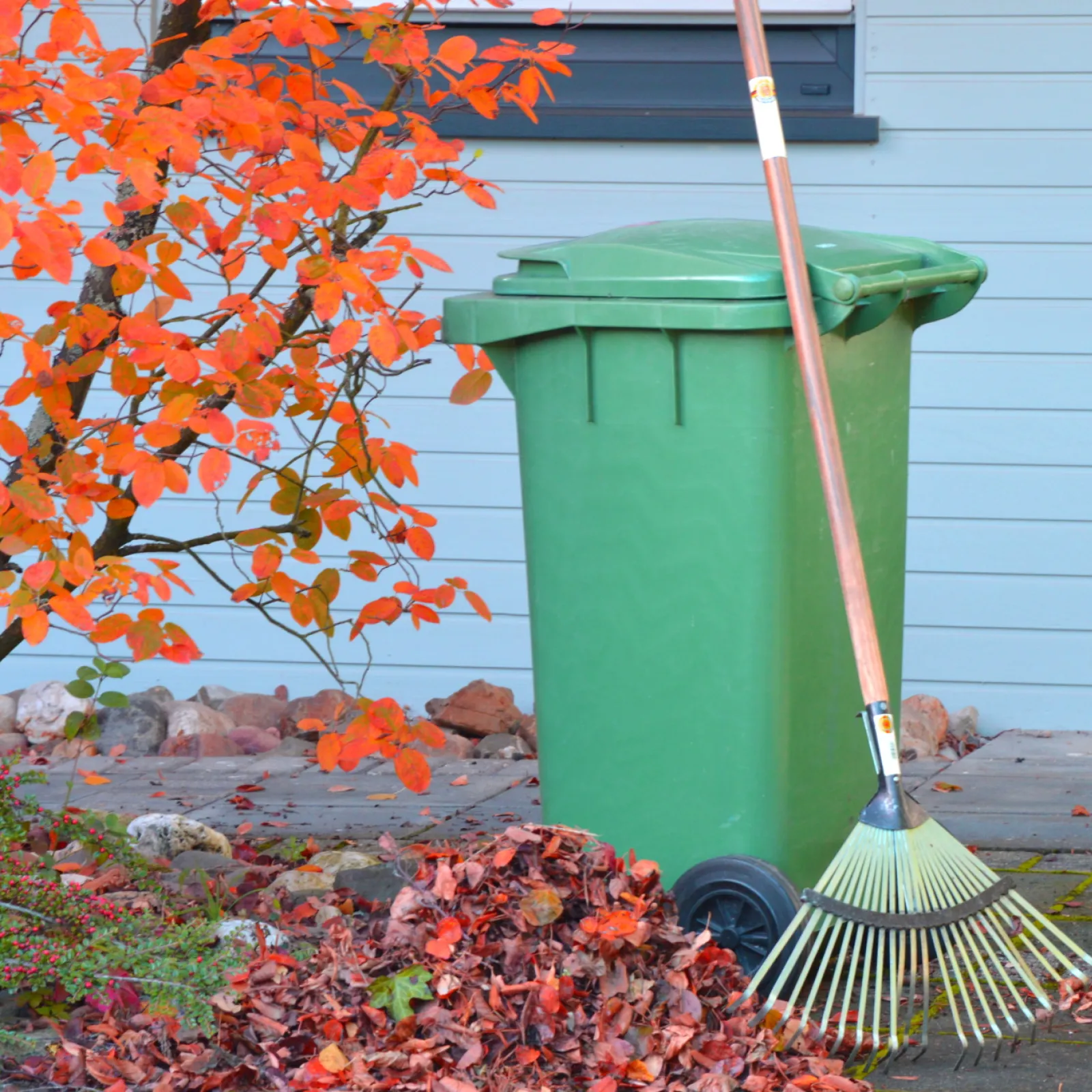 Herbstlaub in die Tonne?