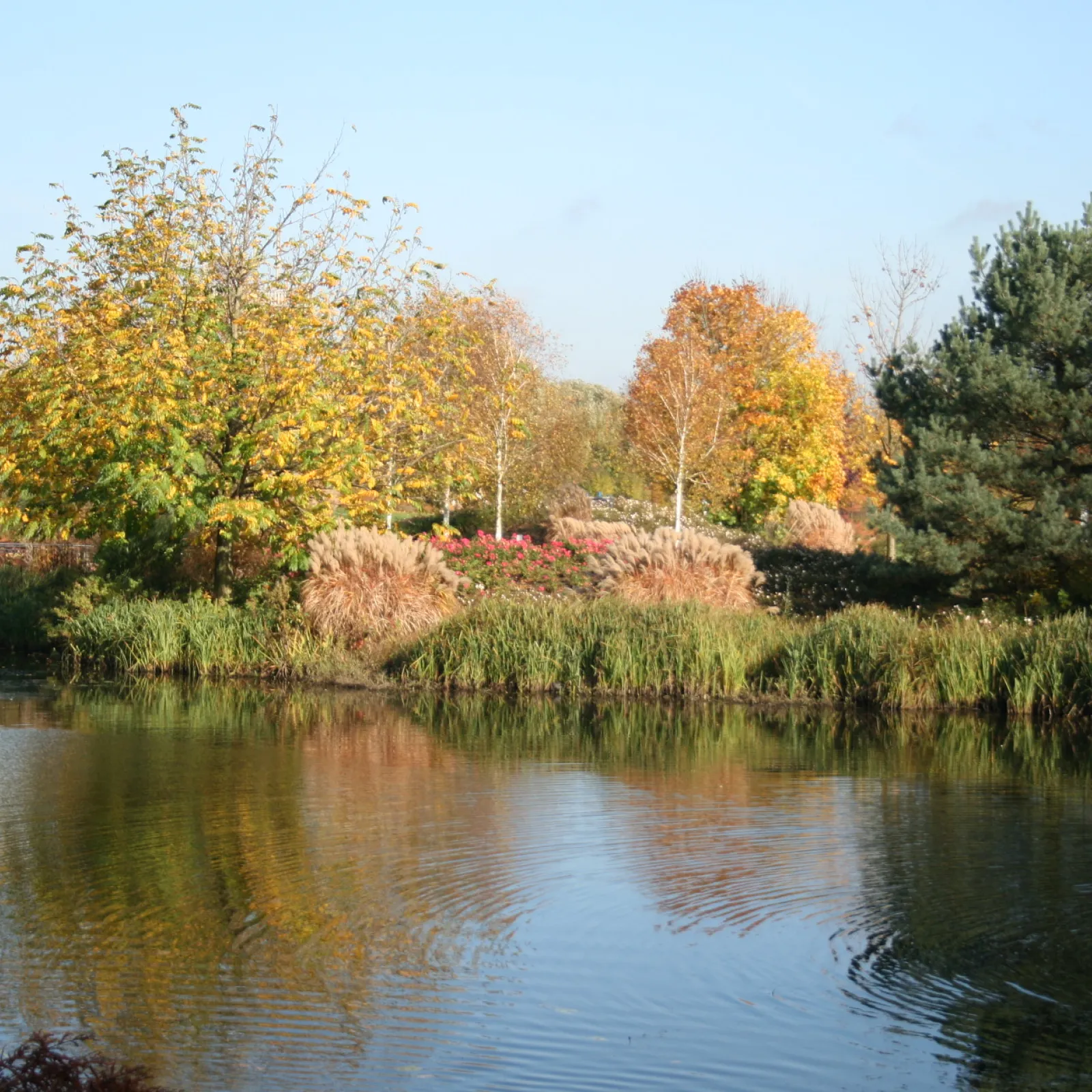 Laubfärbung sorgt für Farbenmeer