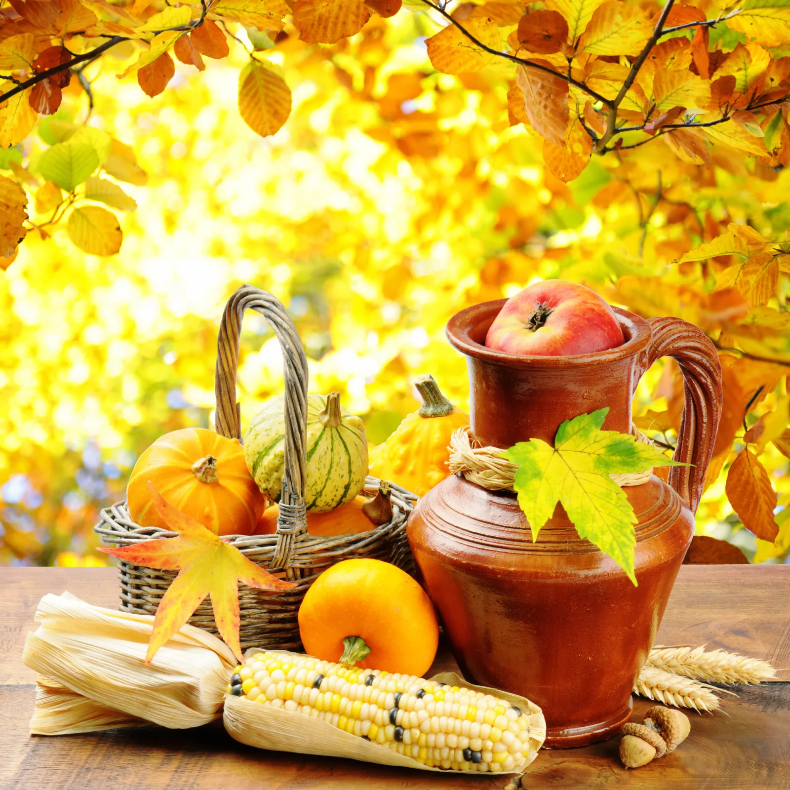 Erntedank – Kartoffelhahn, Thanksgiving und N'cwala