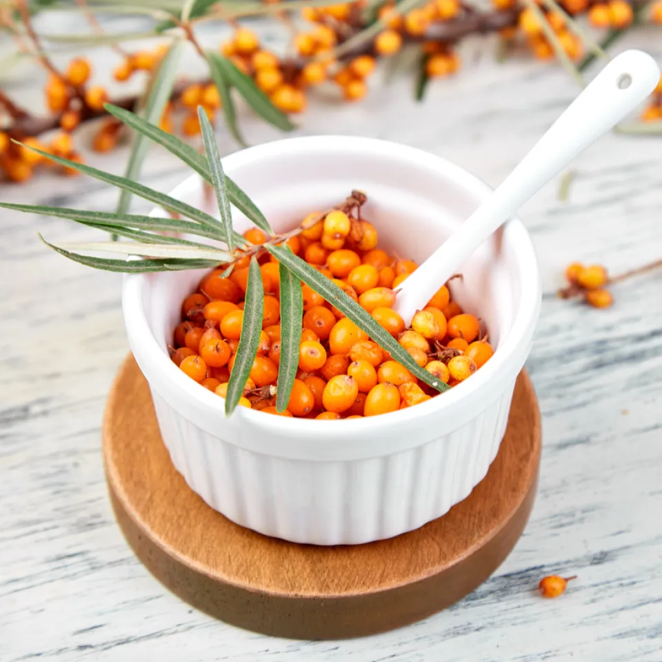 Sanddorn – Zitrone des Nordens