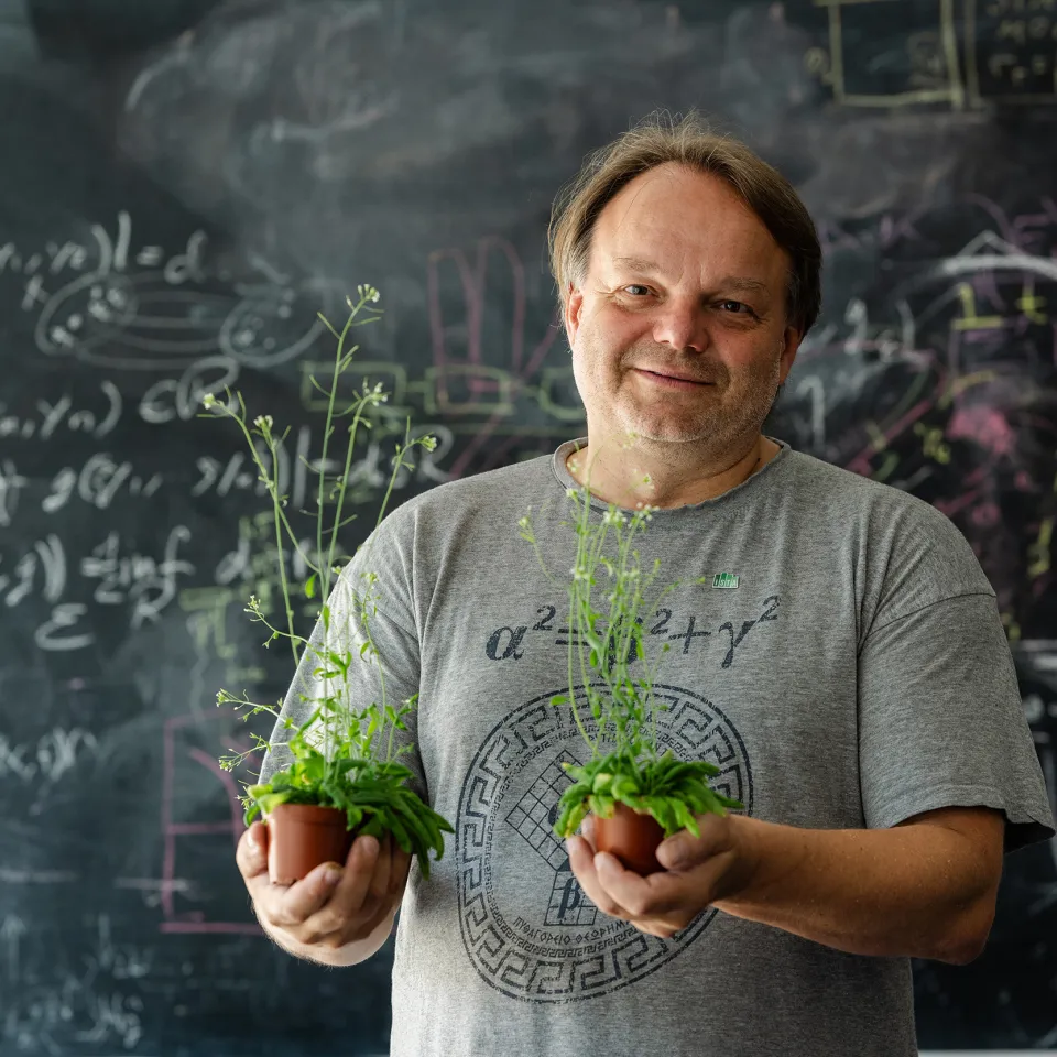 Wasser ist wichtiger als Schwerkraft