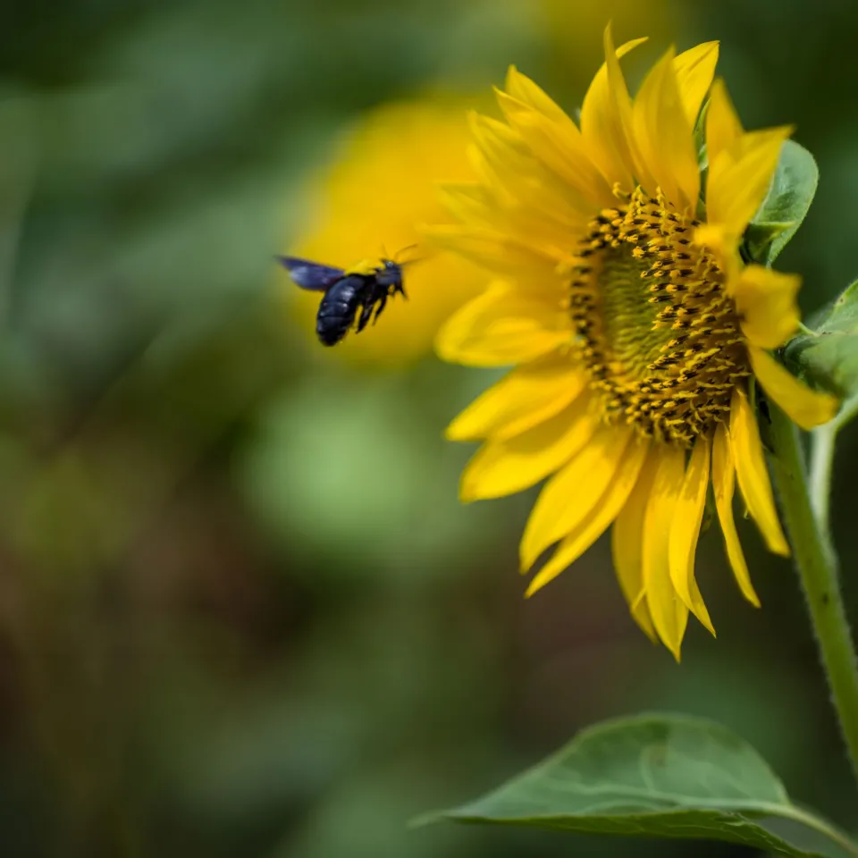 Jahrespressekonferenz 2026 / Agrarchemie: Geringes Wachstum, große Unsicherheit
