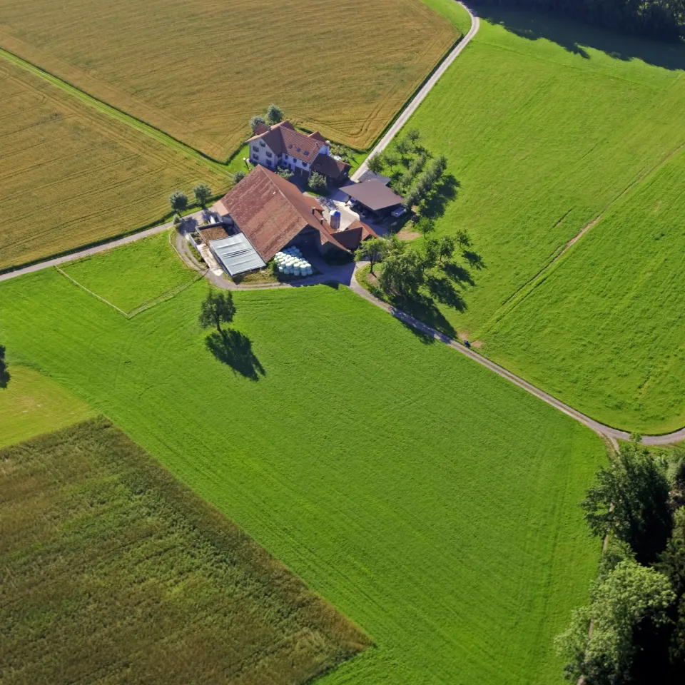 "Dialog am Hof": Zukunft der Landwirtschaft in Mecklenburg-Vorpommern – Wettbewerbsfähigkeit sichern. Ernährungssicherheit gewährleisten
