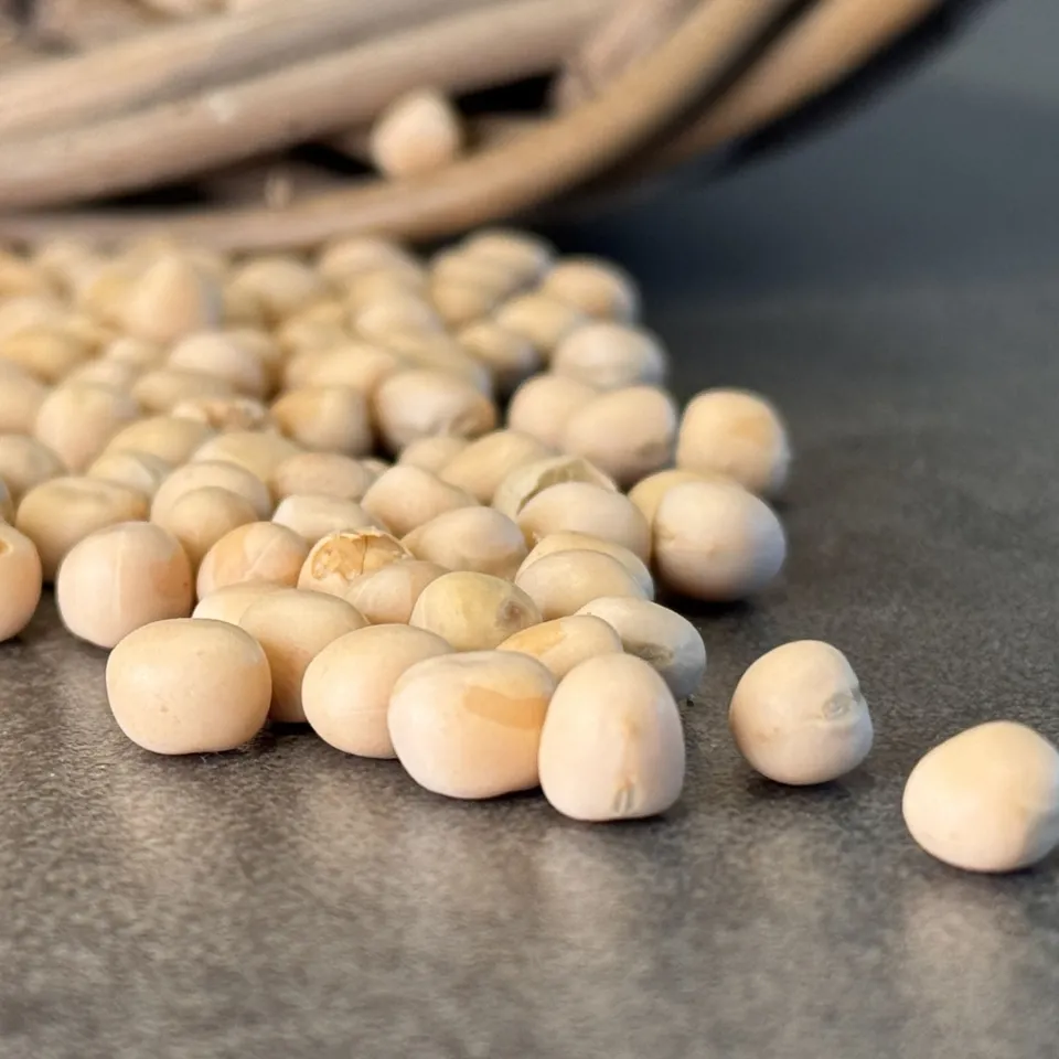 <p>Futtererbsen sind in vielen Futtermischungen enthalten. Außerdem bilden sie oft die Grundlage für die Herstellung von veganen Fleisch- und Milchersatzprodukten.</p>