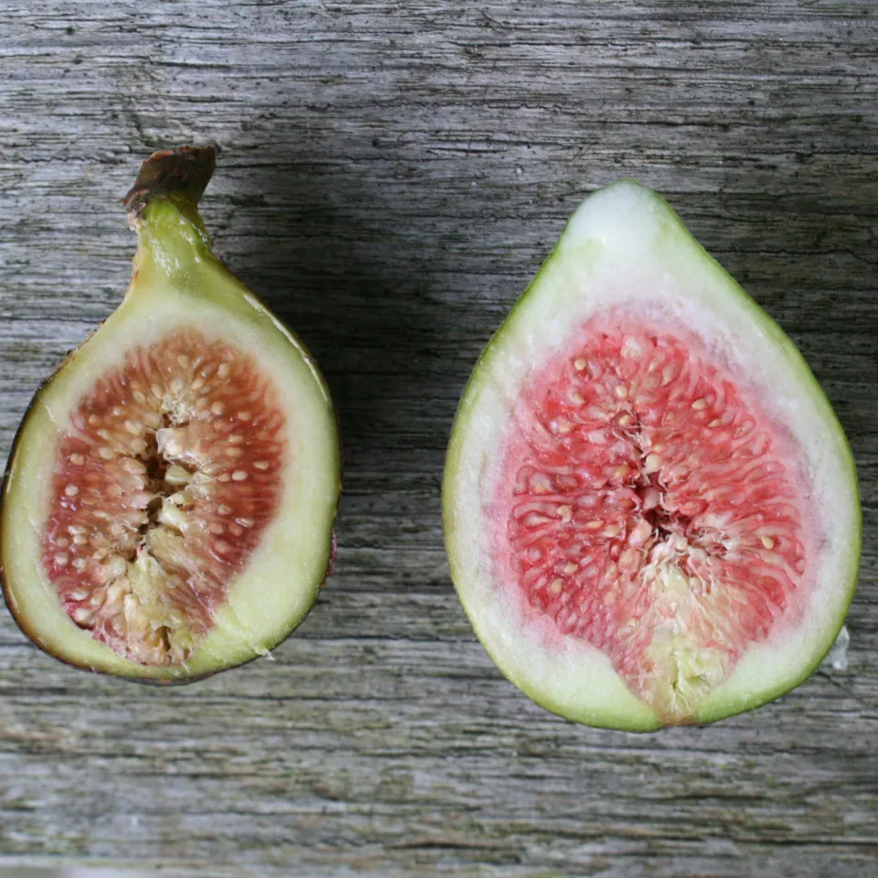 <p>Die Blüten der Feigen stehen im Inneren des Fruchtstands und sind von außen nicht erkennbar.</p>
