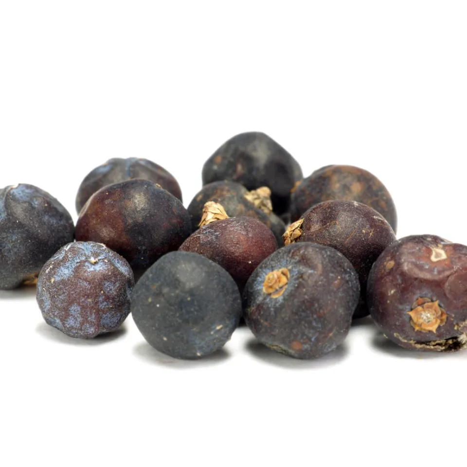 Wacholderbeeren: erstaunlich vielseitig