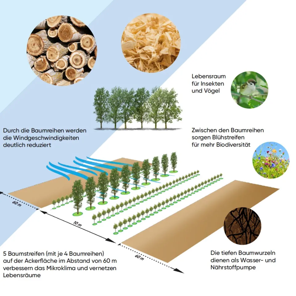 Acker und Wald rücken zusammen