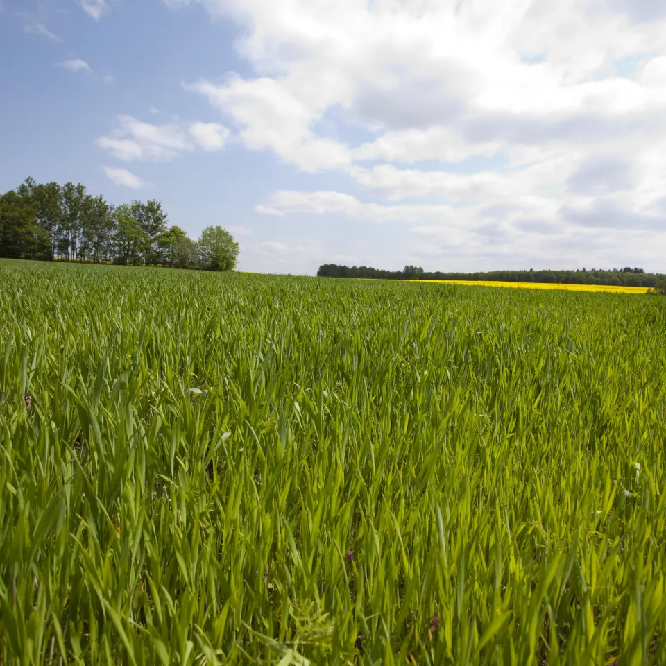 IVA zum Pestizidatlas: "Schade, die Debatte war schon weiter"