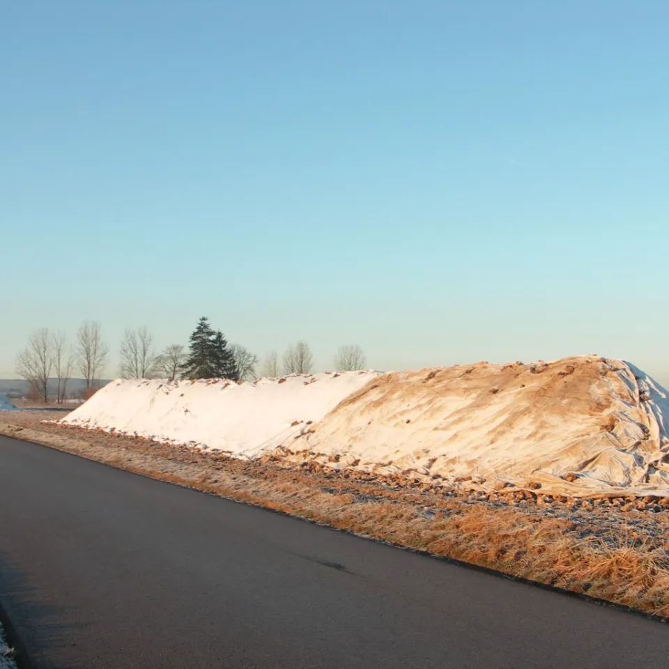Warum Zuckerrüben im Winter am Feldrand liegen