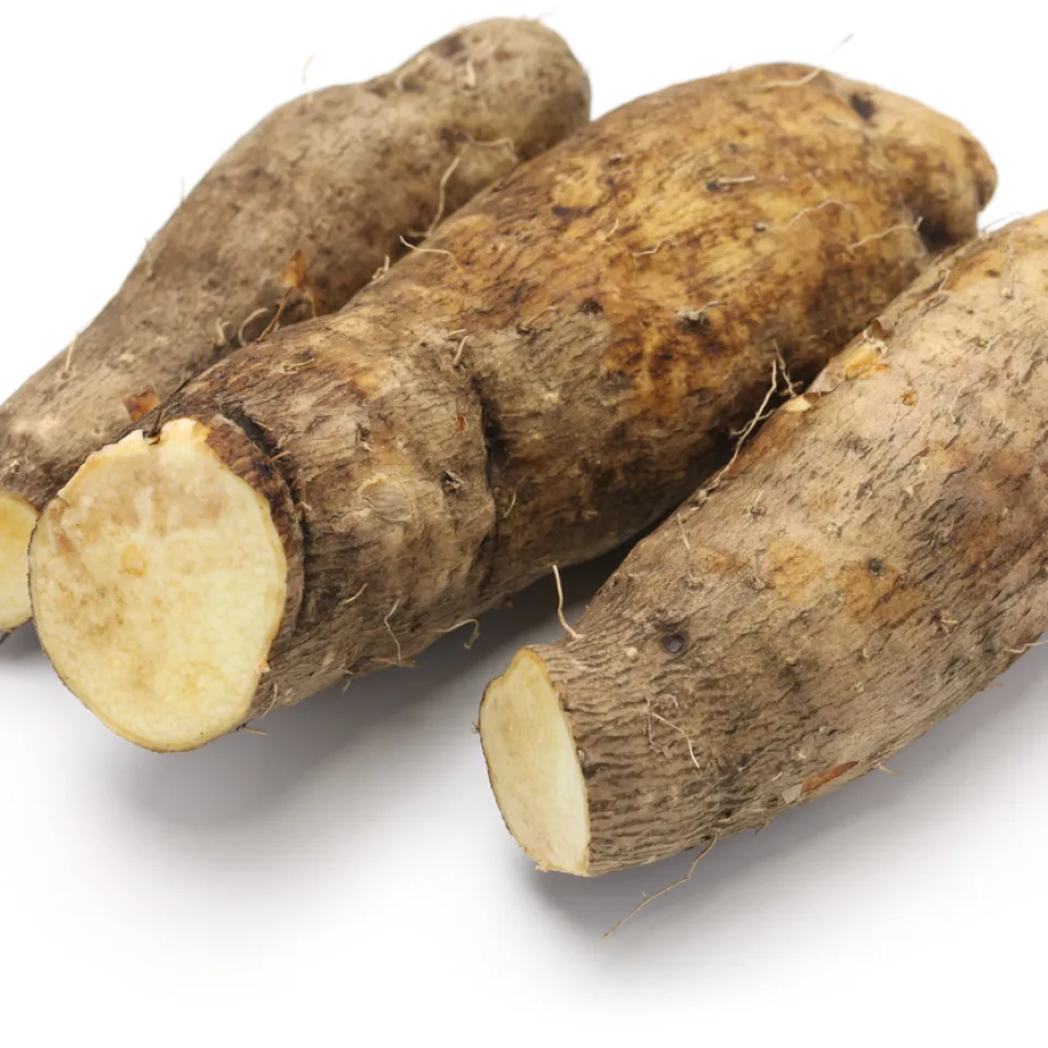 Yamswurzel: Die Kartoffel Westafrikas