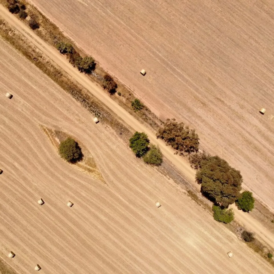 Digitalisierung in der Landwirtschaft sinnvoll nutzen