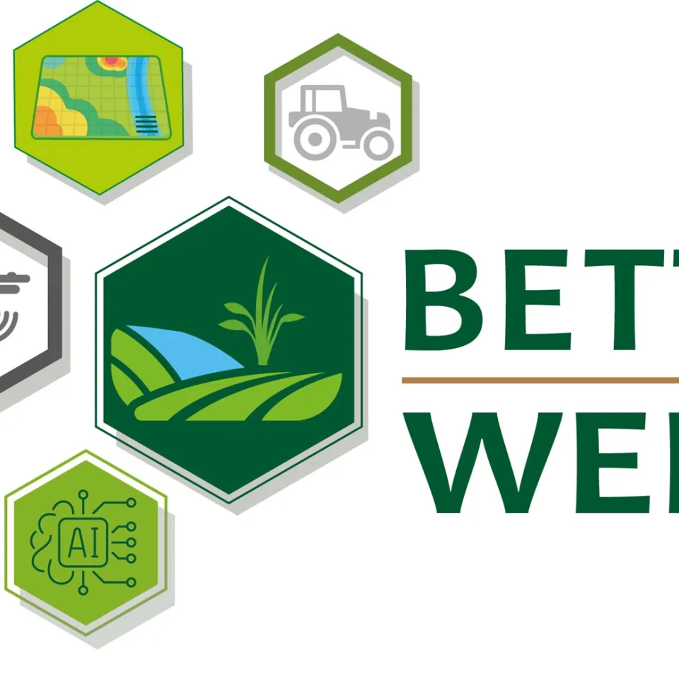 Gute und schlechte Unkräuter