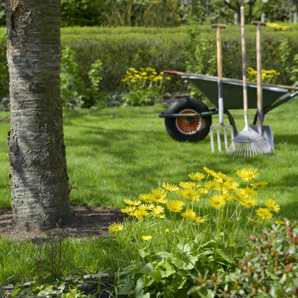 Am 12. Juni ist Tag des Gartens