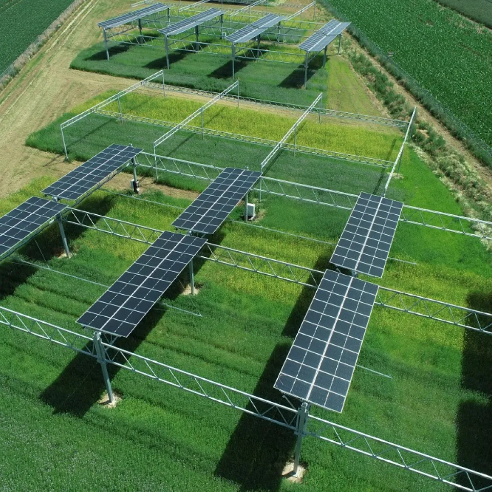 Eine Fläche, zwei Ernten