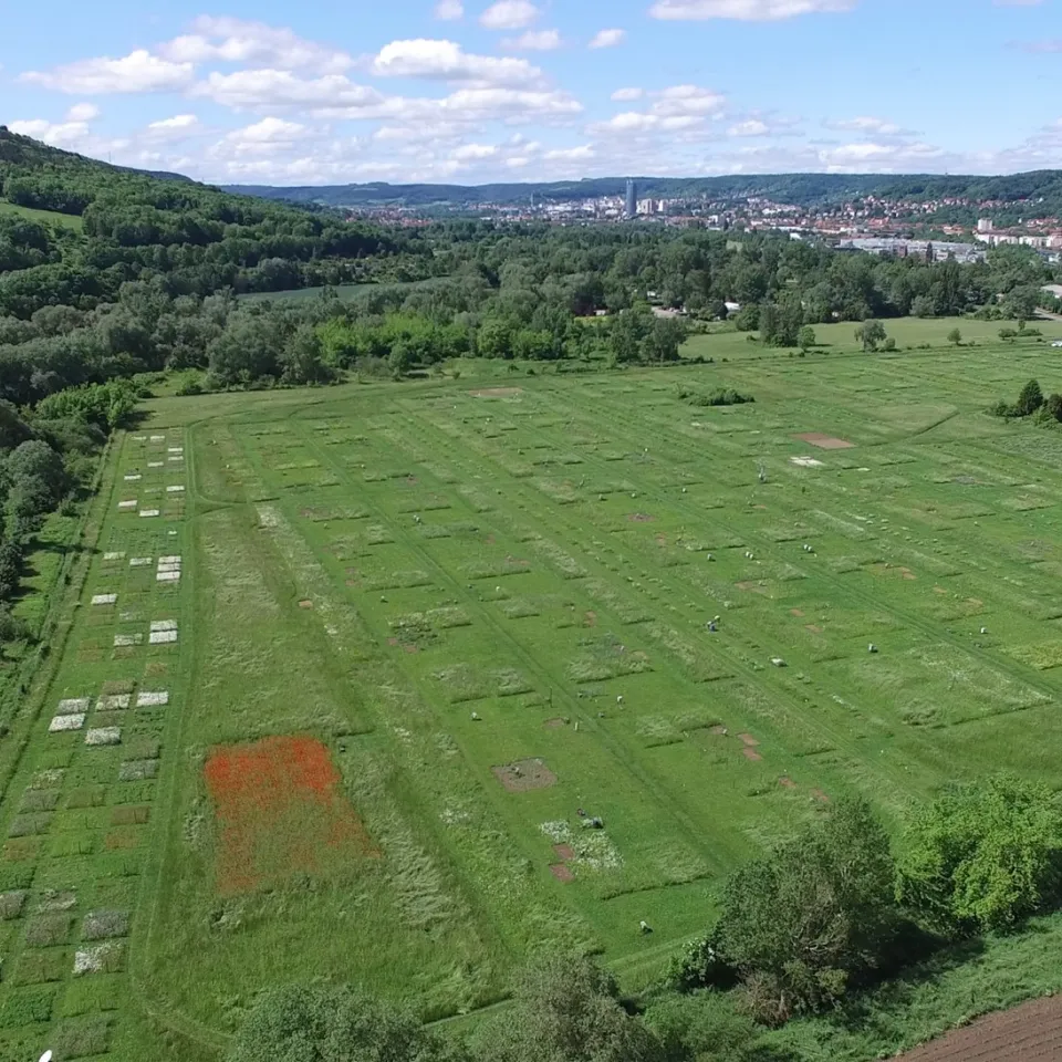Gemeinsam sind wir stark