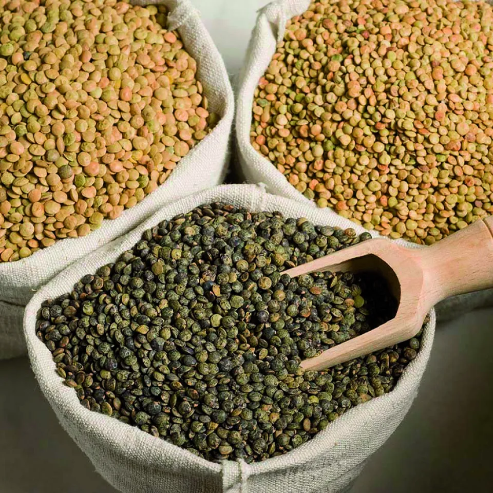 Die Wiederentdeckung von Späths Alblinsen