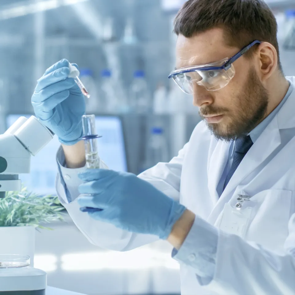 Robuste Sorten durch moderne Züchtungsmethoden