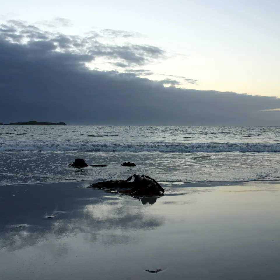 Zutaten für die grüne Chemie