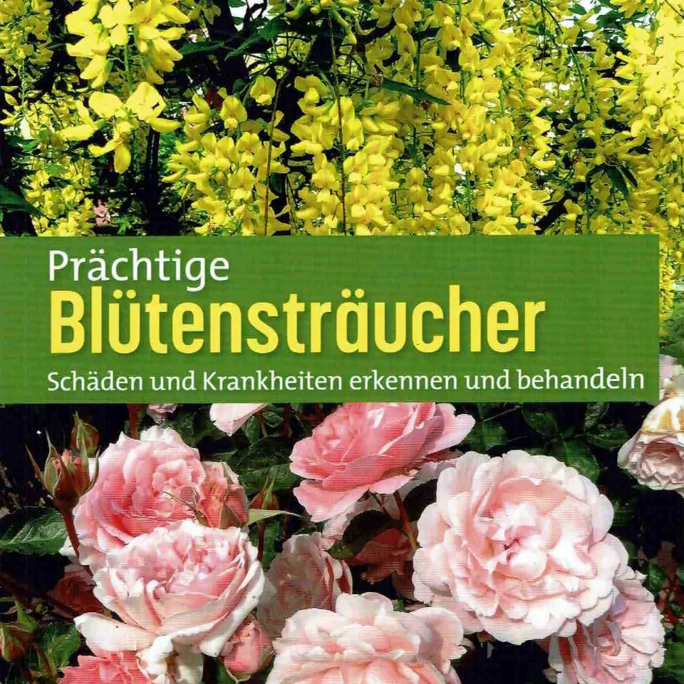 Buchtipp: Prächtige Blütensträucher