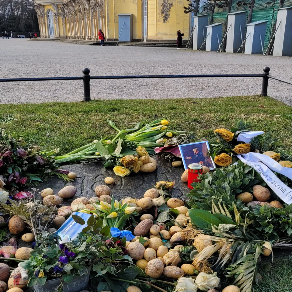 Wie die Kartoffel nach Preußen kam