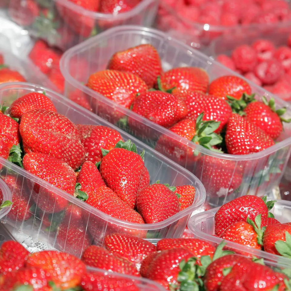 IVA: Verbales Gift schadet Debatte um Zukunft der Landwirtschaft