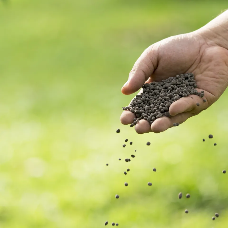 Zulassung und Kontrolle